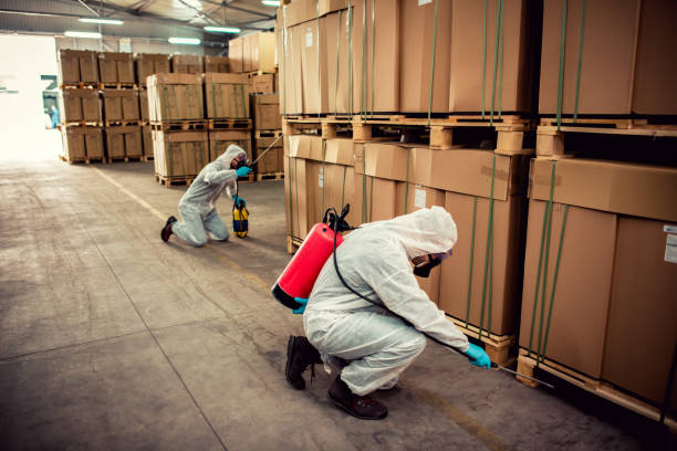 Best Best Pest Control Near Me  in Lake Shore, MN