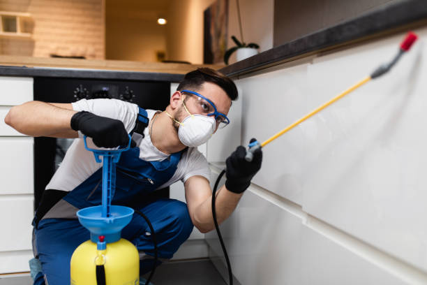 Pest Control Cost in Lake Shore, MN