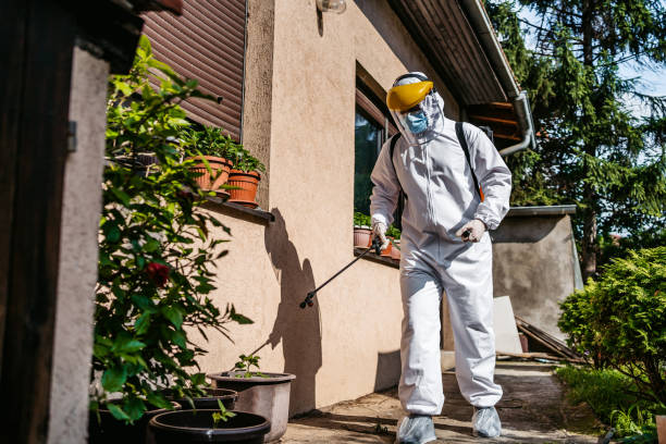 Professional Pest Control in Lake Shore, MN