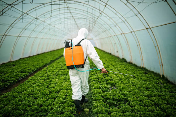 Best Local Pest Control Services  in Lake Shore, MN